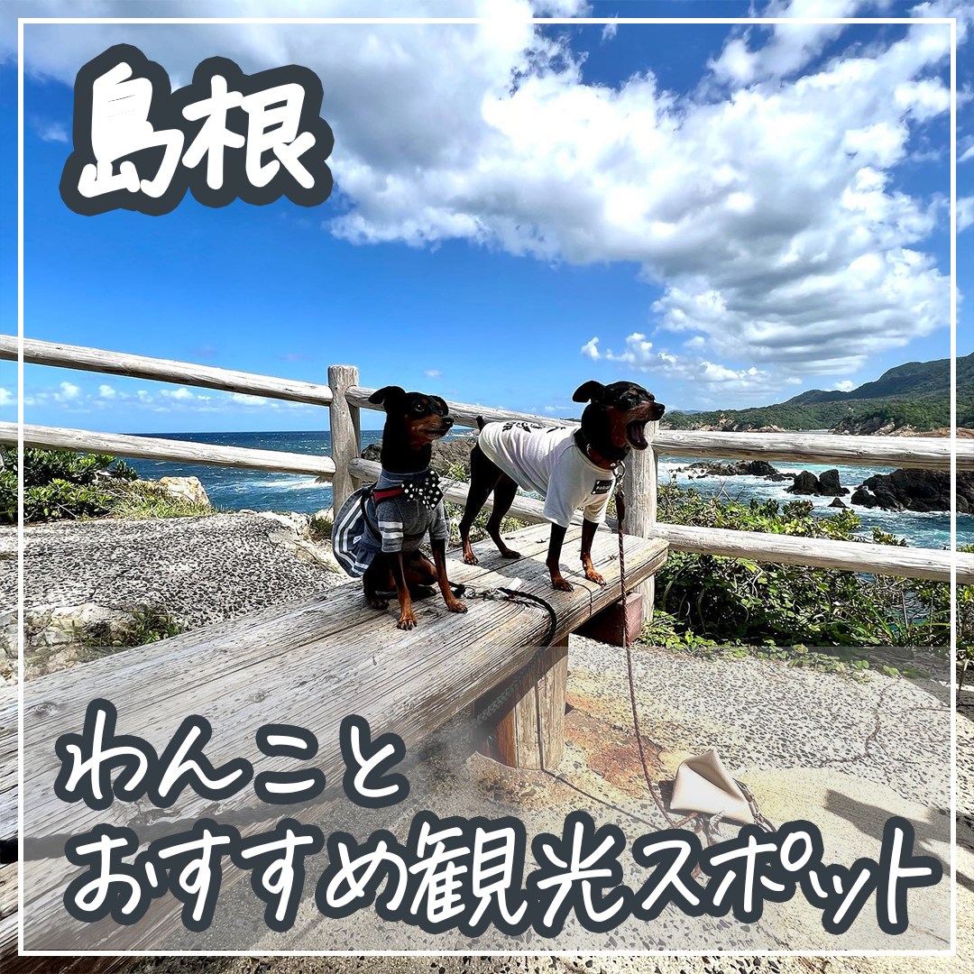 島根 わんことおすすめ観光スポット