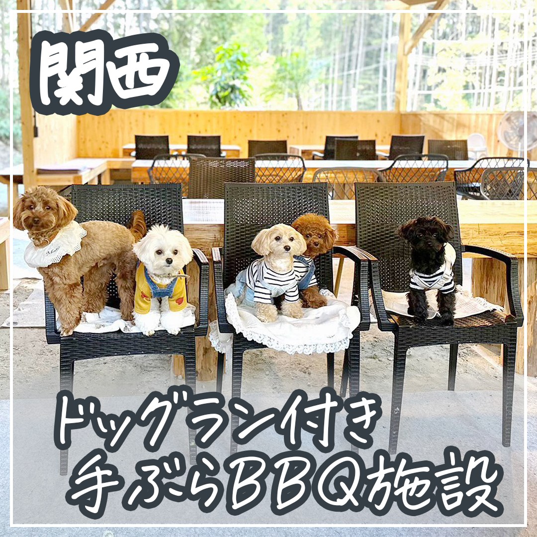 関西 ドッグラン付き手ぶらＢＢＱ施設