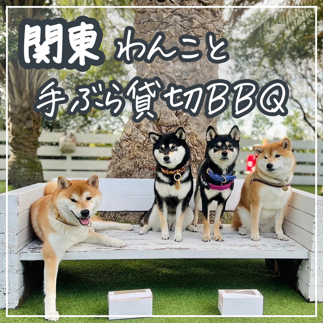 関東 わんこと手ぶら貸切BBQ